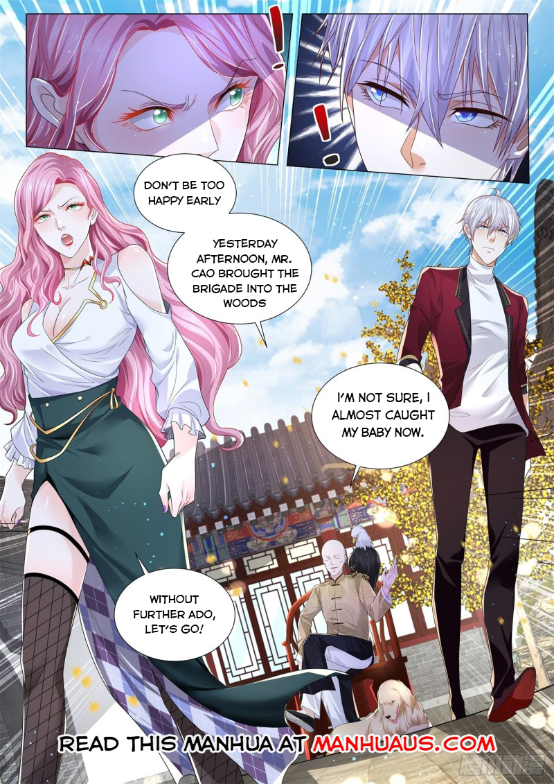 Divine Hero’s Skyfall System Chapter 256 - Page 11