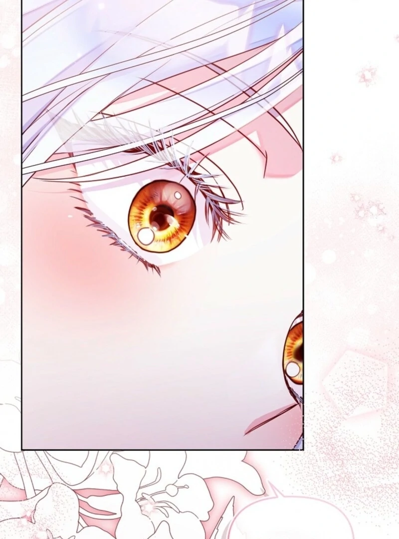 Divorce Plan Chapter 63 - Page 45