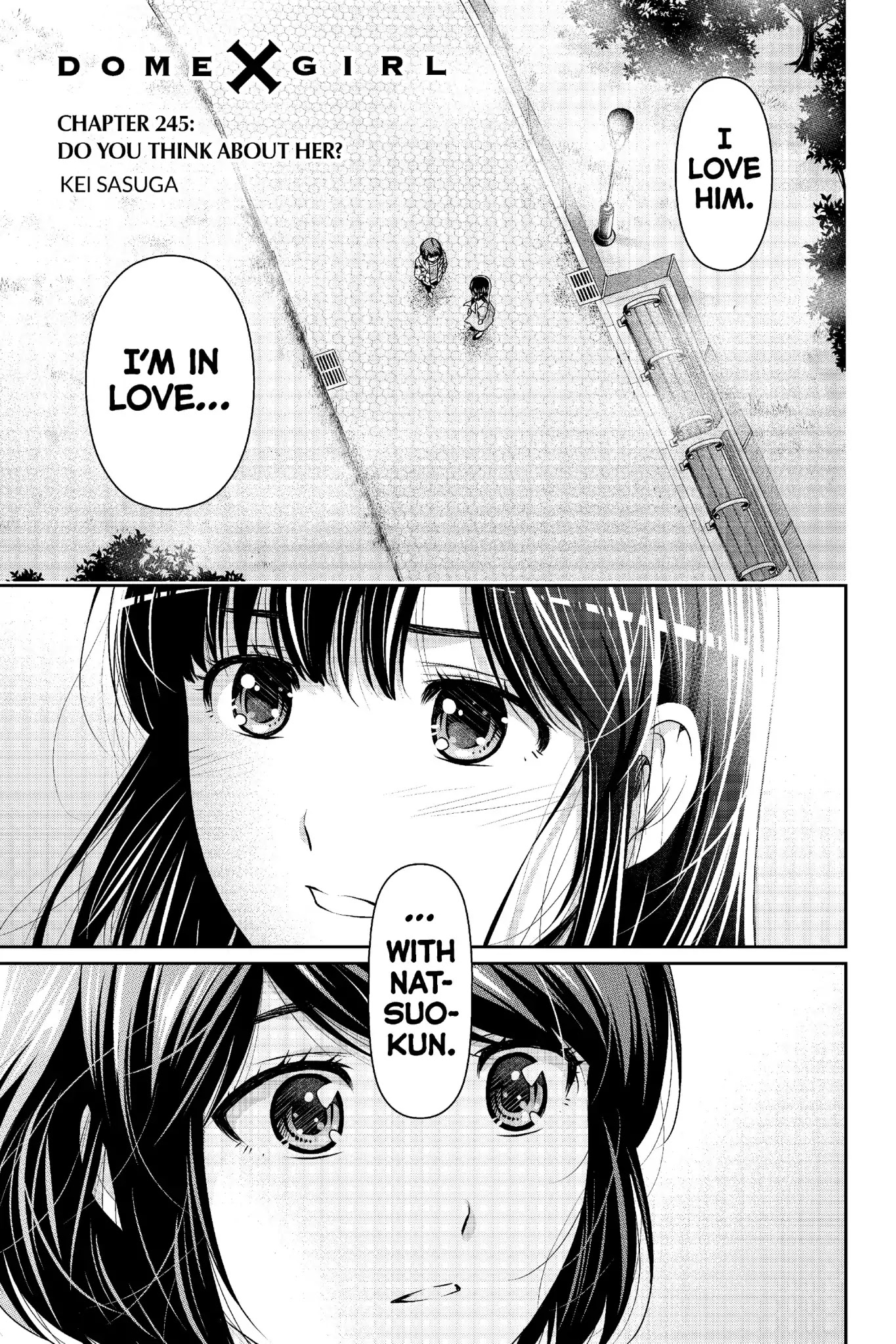 Domestic na Kanojo Chapter 245 - Page 2