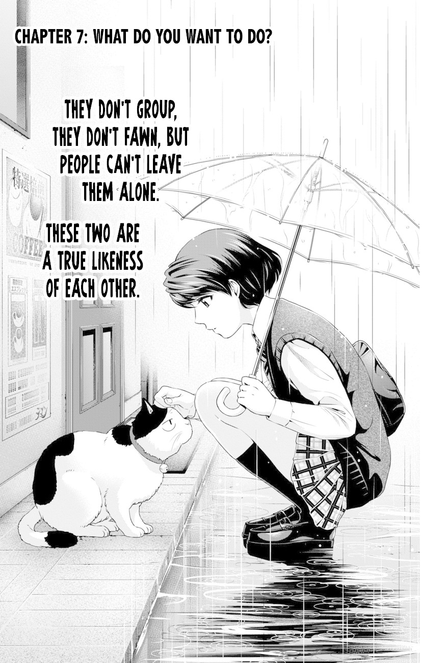 Domestic na Kanojo Chapter 7 - Page 1
