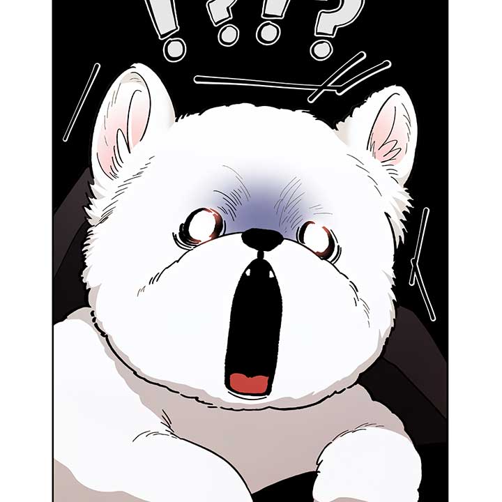 Don’t Mess With the Puppy! Chapter 0 - Page 14