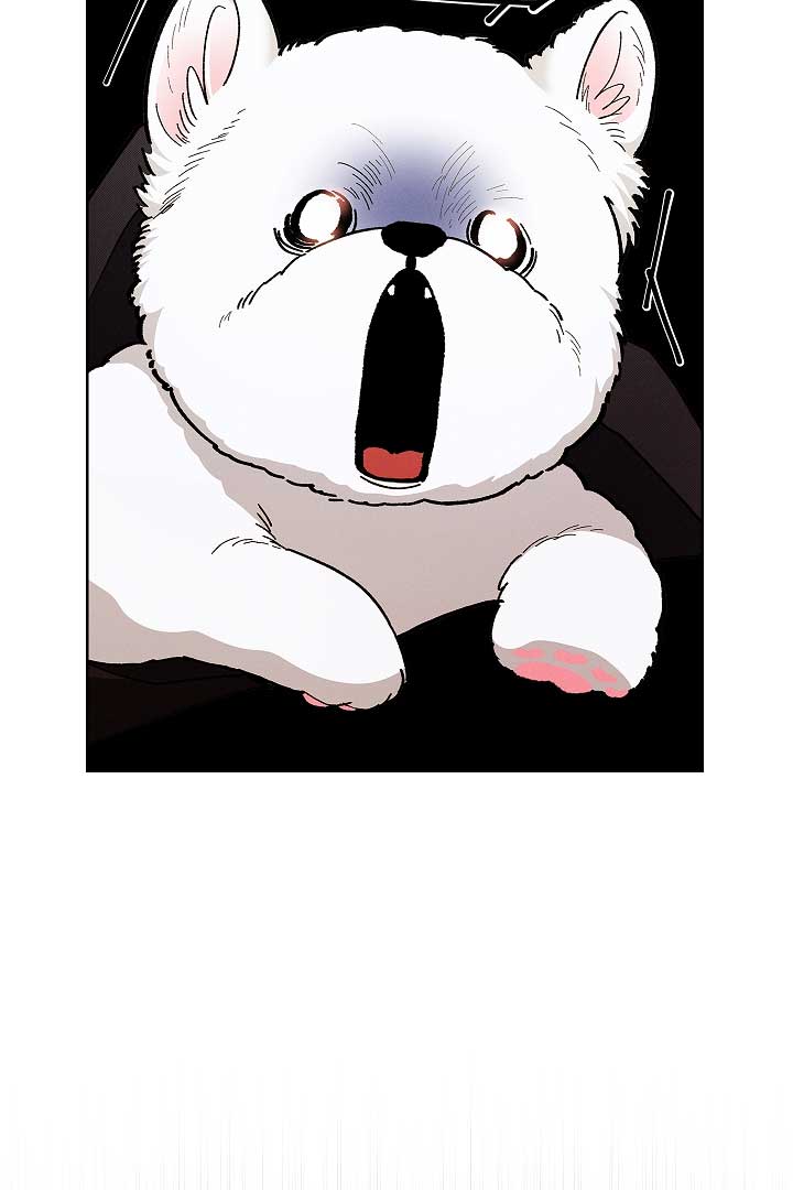 Don’t Mess With the Puppy! Chapter 1 - Page 108