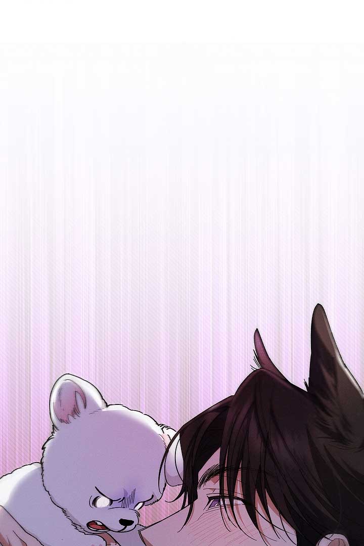 Don’t Mess With the Puppy! Chapter 1 - Page 117
