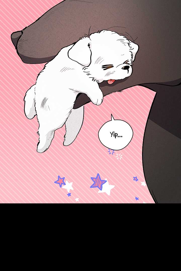 Don’t Mess With the Puppy! Chapter 1 - Page 18