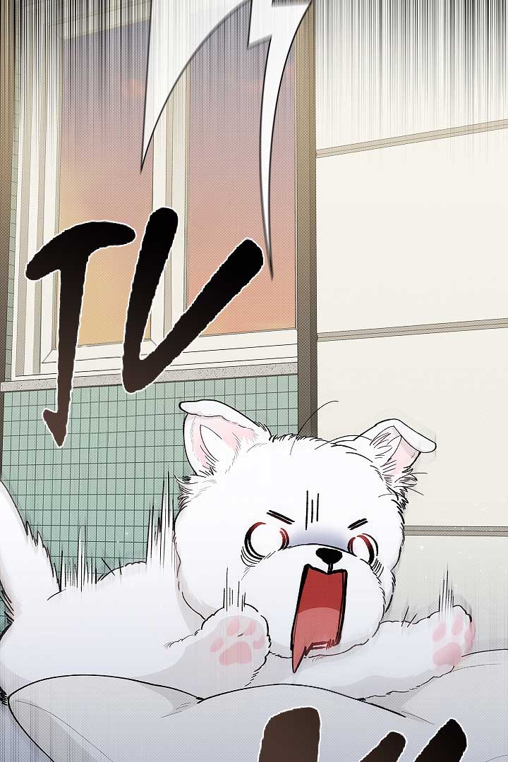 Don’t Mess With the Puppy! Chapter 1 - Page 20