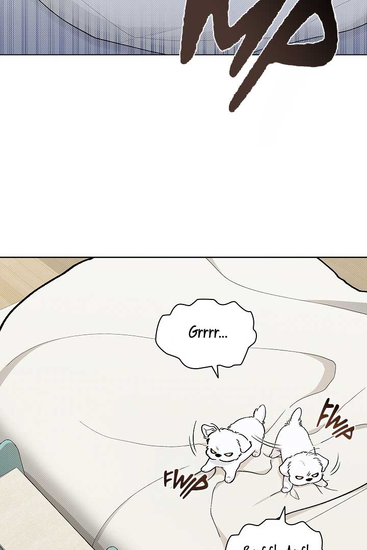 Don’t Mess With the Puppy! Chapter 1 - Page 21