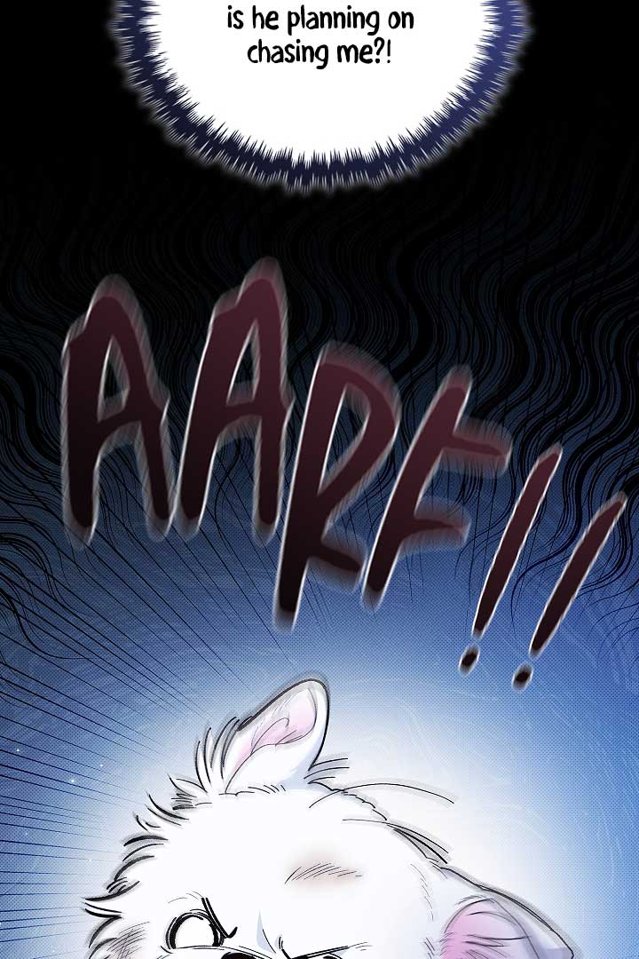 Don’t Mess With the Puppy! Chapter 1 - Page 5