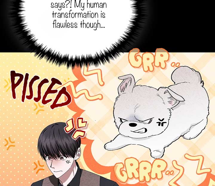 Don’t Mess With the Puppy! Chapter 1 - Page 54