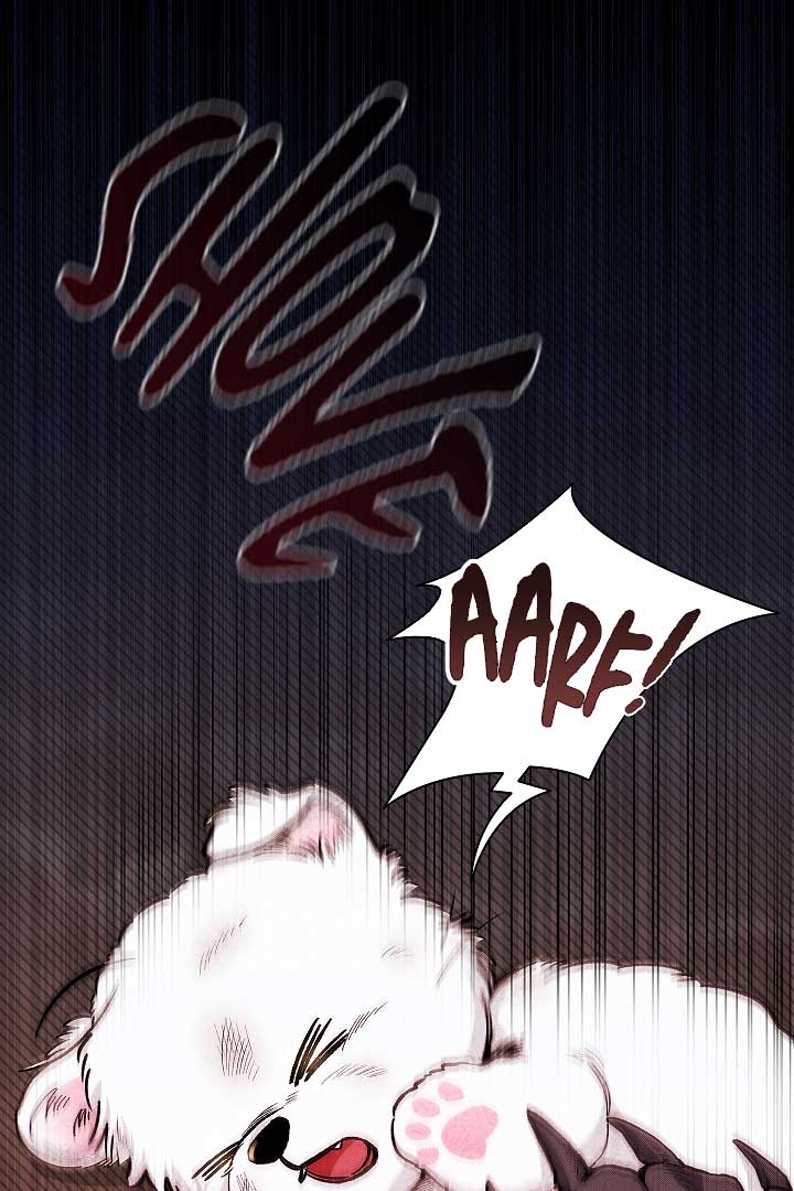 Don’t Mess With the Puppy! Chapter 1 - Page 9