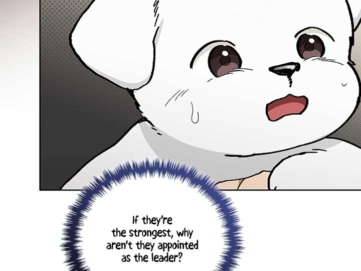 Don’t Mess With the Puppy! Chapter 11 - Page 43