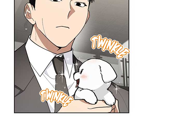Don’t Mess With the Puppy! Chapter 11 - Page 7