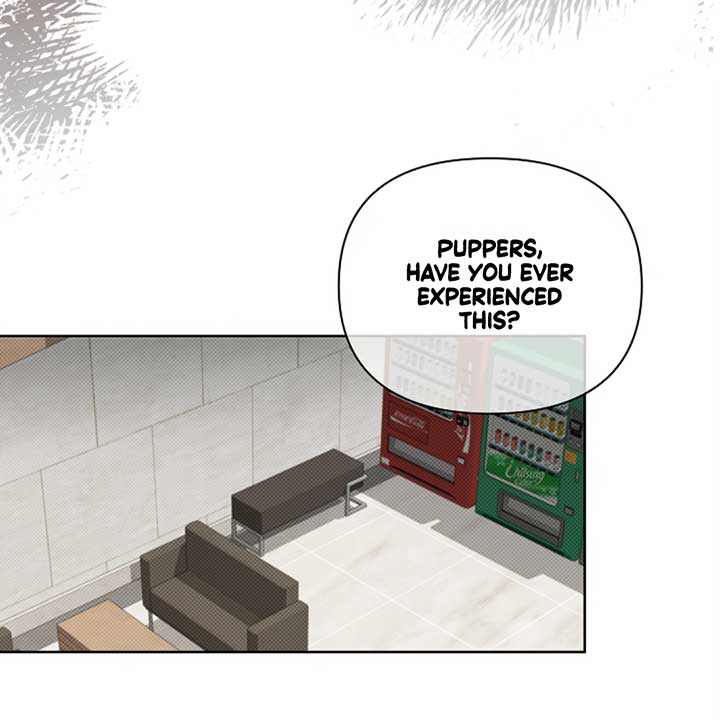 Don’t Mess With the Puppy! Chapter 12 - Page 47