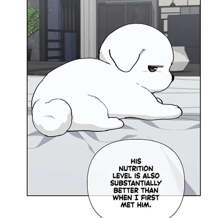 Don’t Mess With the Puppy! Chapter 13 - Page 103