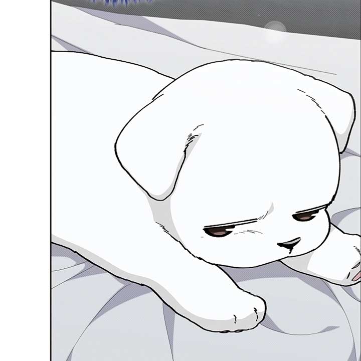 Don’t Mess With the Puppy! Chapter 13 - Page 108
