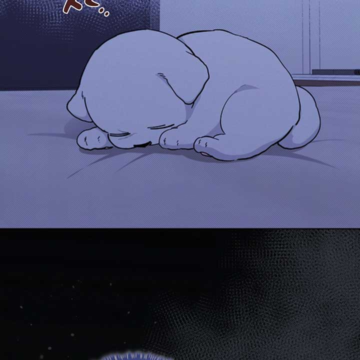 Don’t Mess With the Puppy! Chapter 13 - Page 35