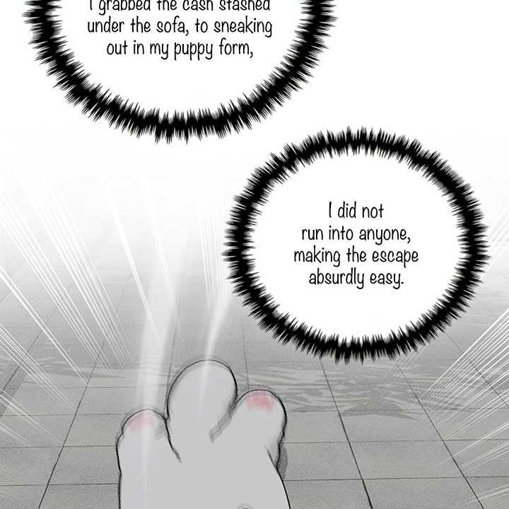 Don’t Mess With the Puppy! Chapter 14 - Page 46