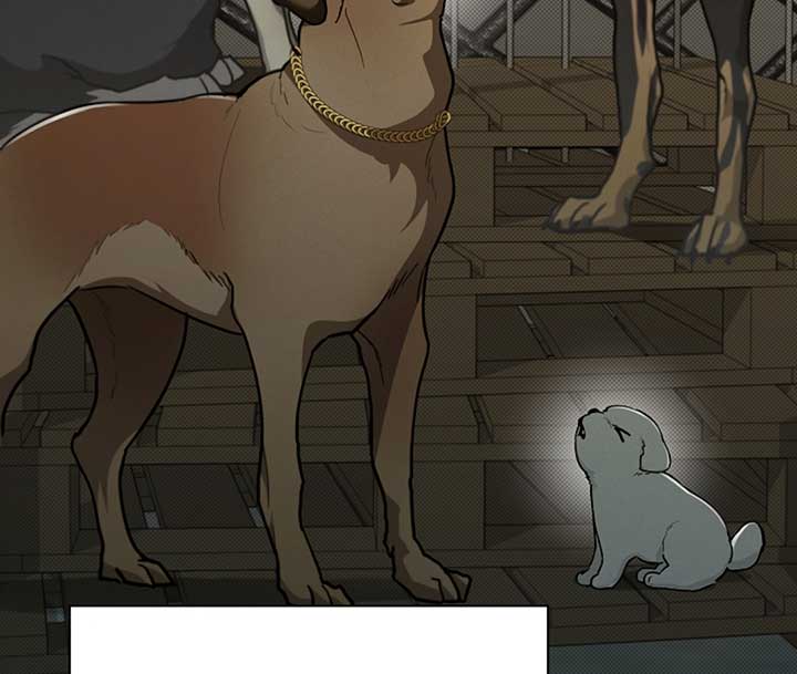 Don’t Mess With the Puppy! Chapter 16 - Page 46