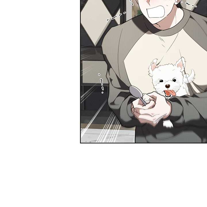 Don’t Mess With the Puppy! Chapter 17 - Page 54