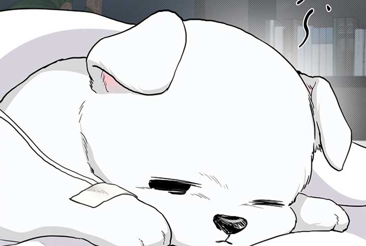 Don’t Mess With the Puppy! Chapter 17 - Page 85