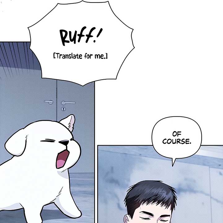 Don’t Mess With the Puppy! Chapter 18 - Page 8