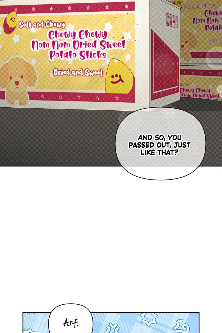 Don’t Mess With the Puppy! Chapter 2 - Page 1