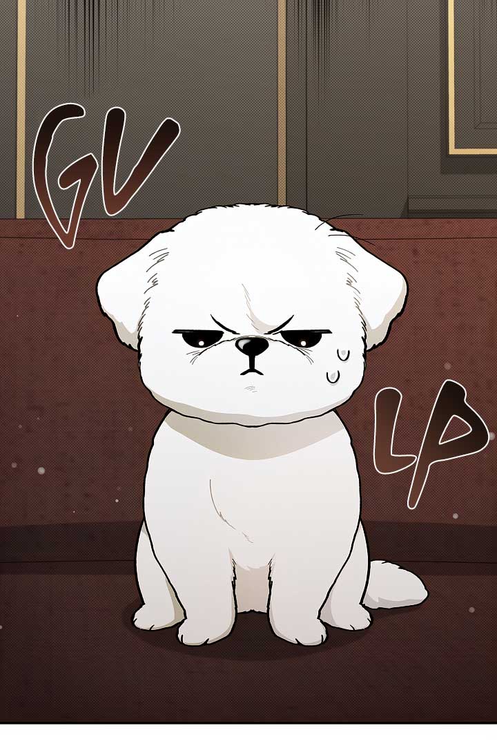 Don’t Mess With the Puppy! Chapter 2 - Page 15