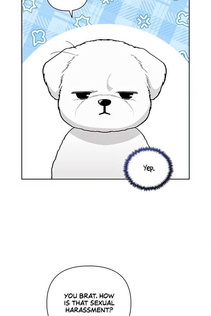 Don’t Mess With the Puppy! Chapter 2 - Page 2