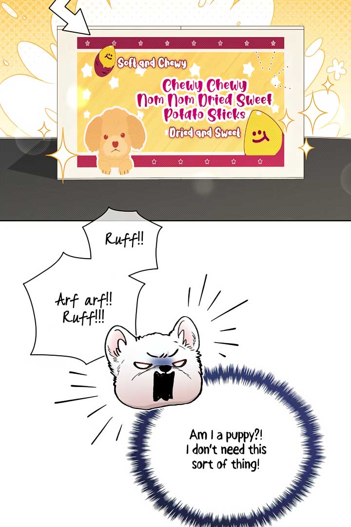 Don’t Mess With the Puppy! Chapter 2 - Page 6