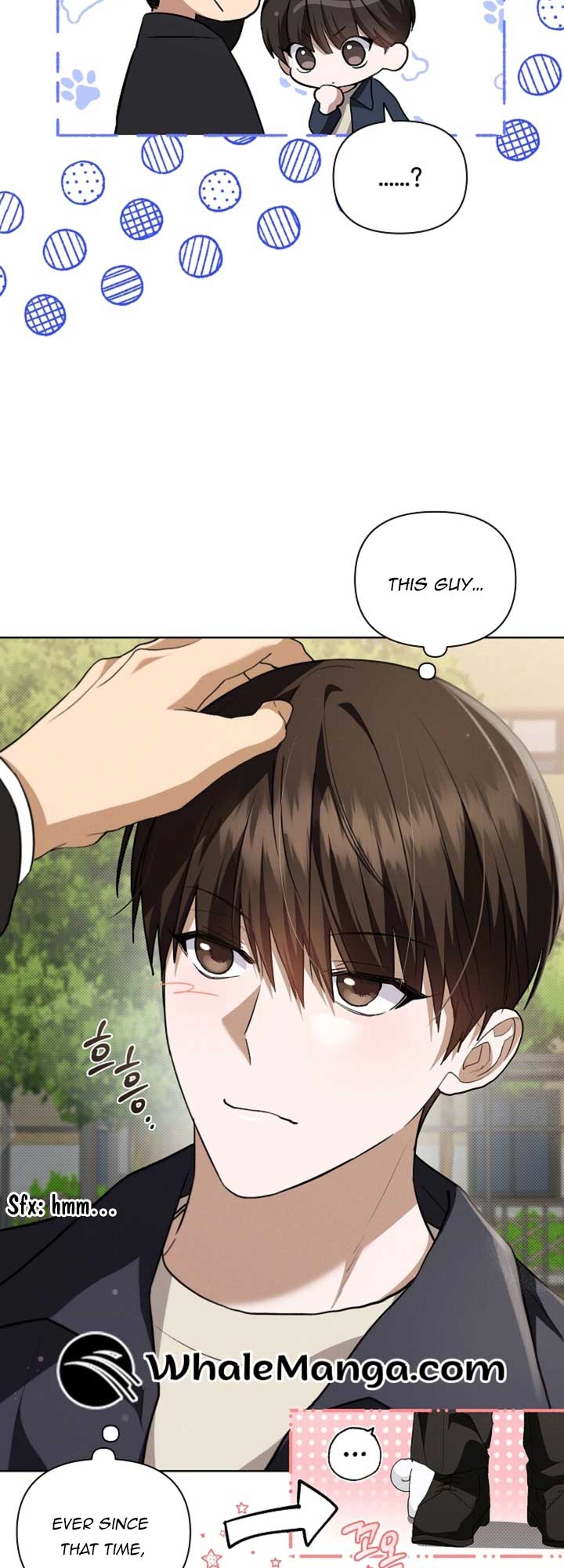 Don’t Mess With the Puppy! Chapter 23 - Page 28