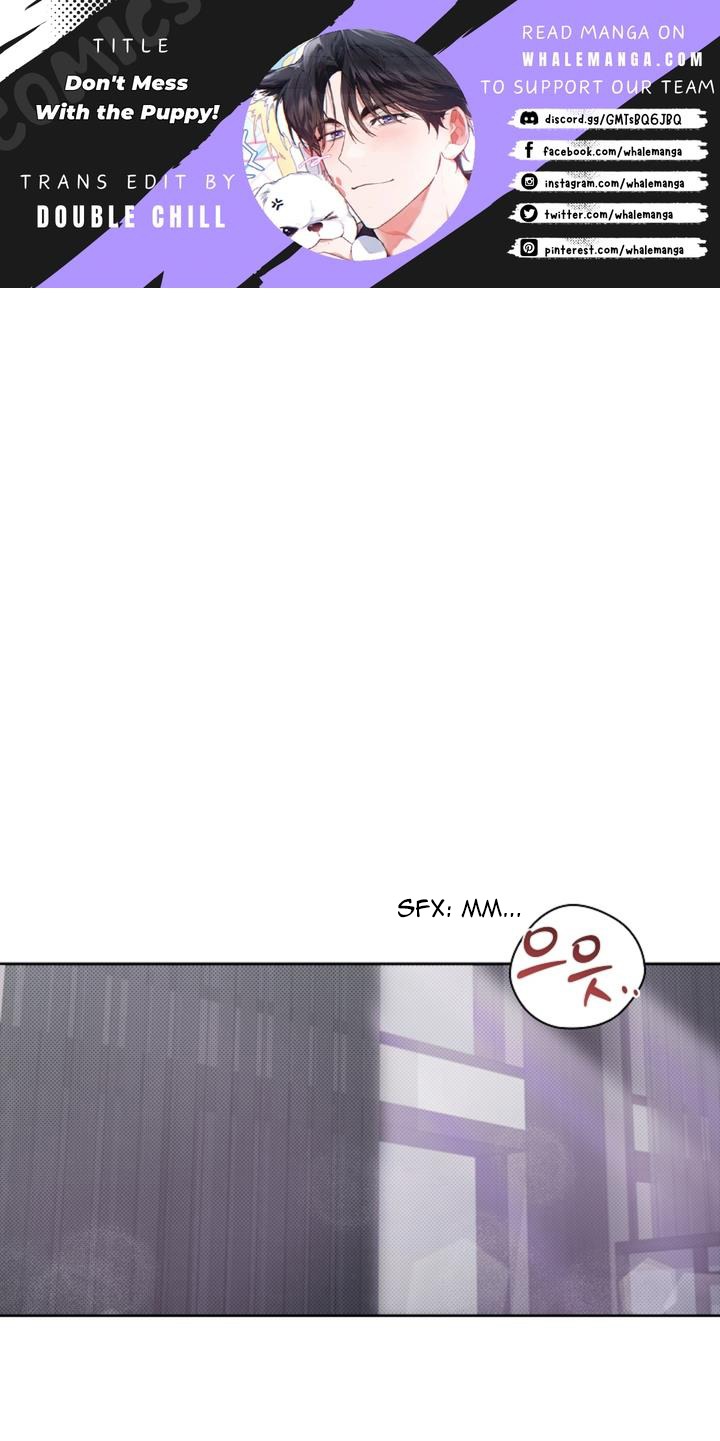Don’t Mess With the Puppy! Chapter 26 - Page 0