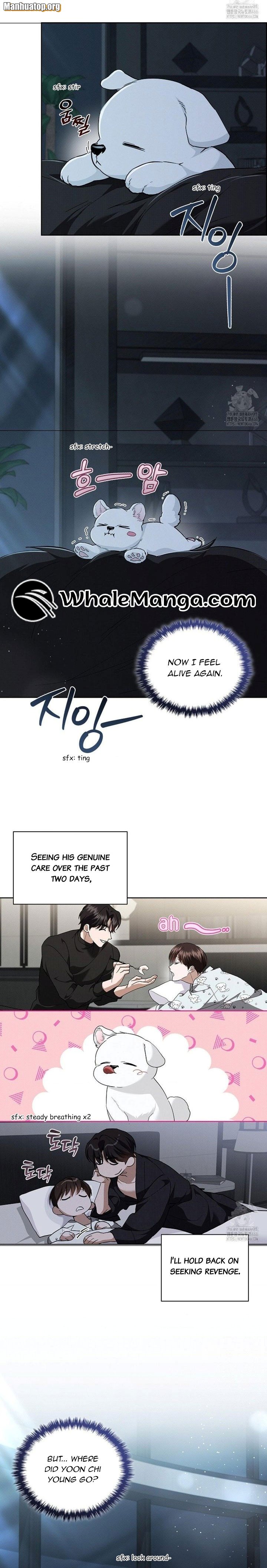 Don’t Mess With the Puppy! Chapter 27 - Page 6