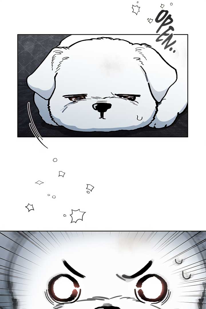 Don’t Mess With the Puppy! Chapter 3 - Page 95