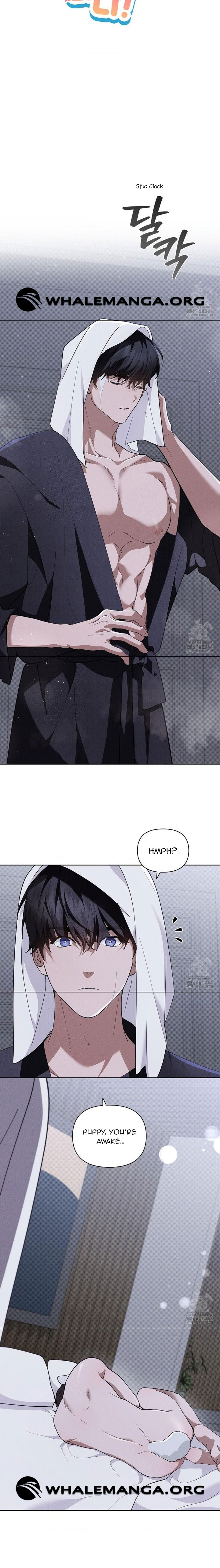 Don’t Mess With the Puppy! Chapter 31 - Page 3