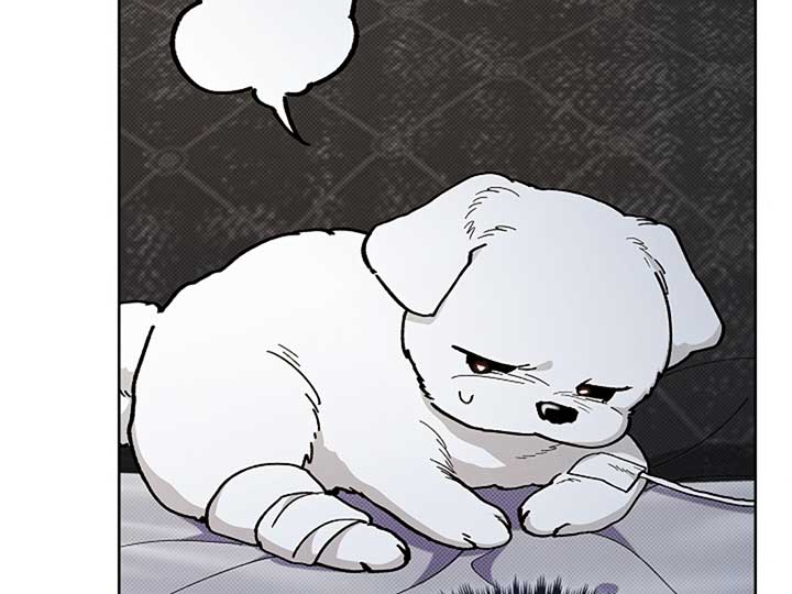 Don’t Mess With the Puppy! Chapter 4 - Page 21