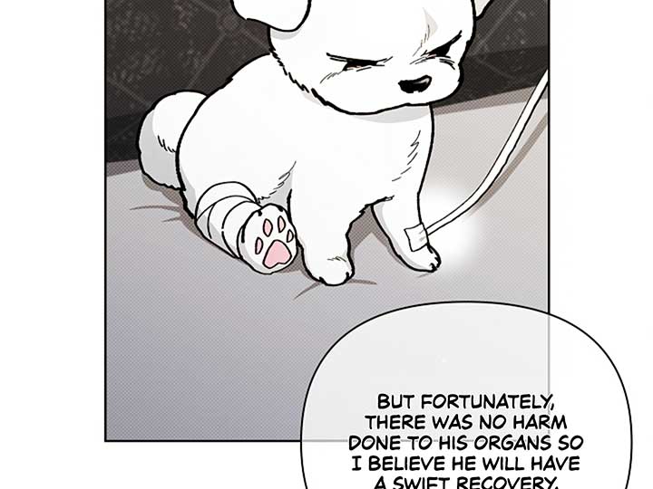 Don’t Mess With the Puppy! Chapter 4 - Page 4