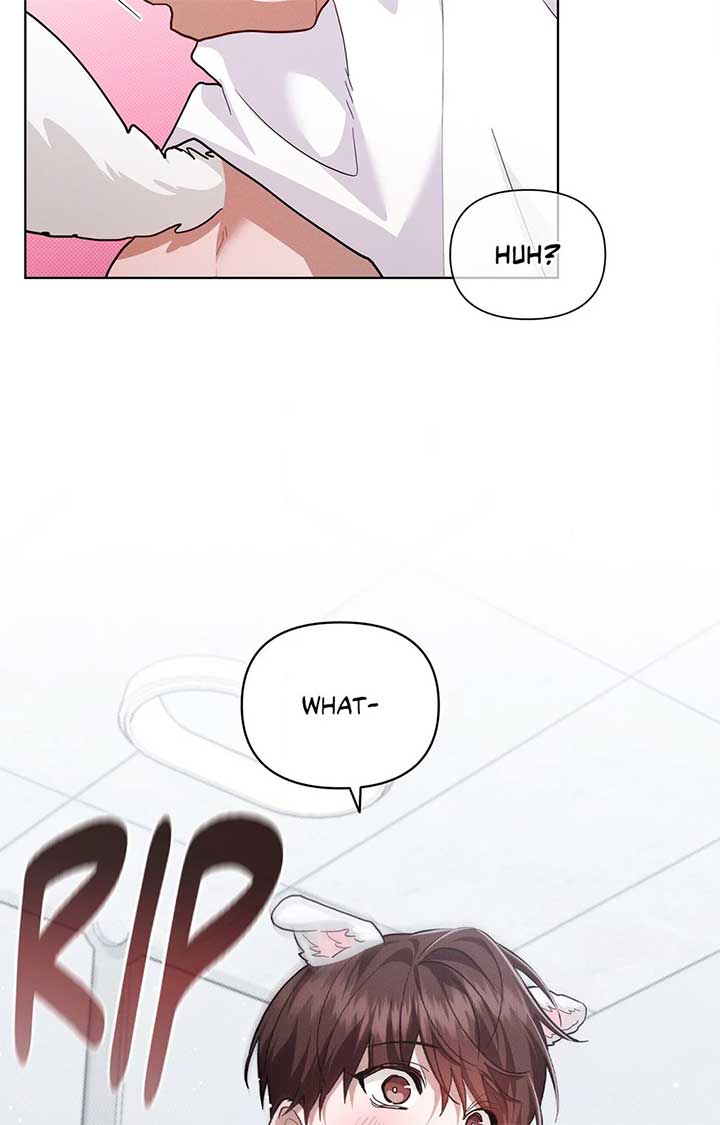 Don’t Mess With the Puppy! Chapter 41 - Page 11