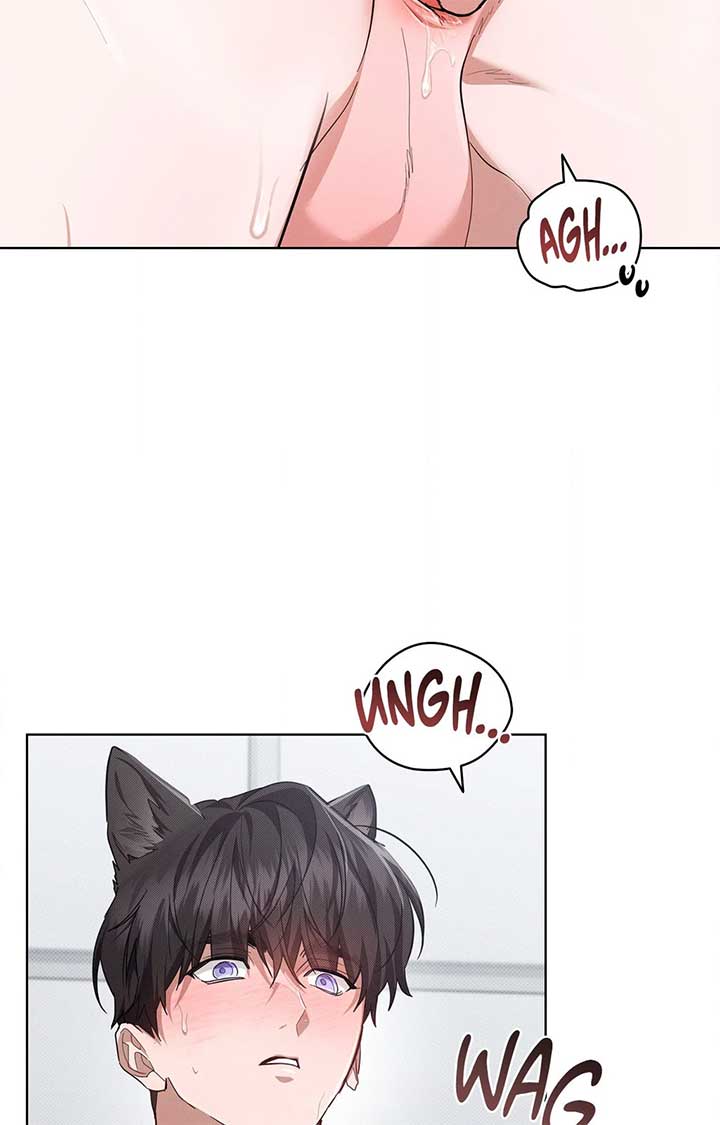 Don’t Mess With the Puppy! Chapter 41 - Page 44