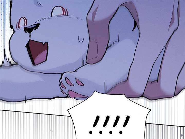 Don’t Mess With the Puppy! Chapter 7 - Page 155