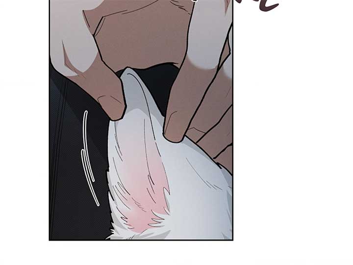 Don’t Mess With the Puppy! Chapter 7 - Page 201