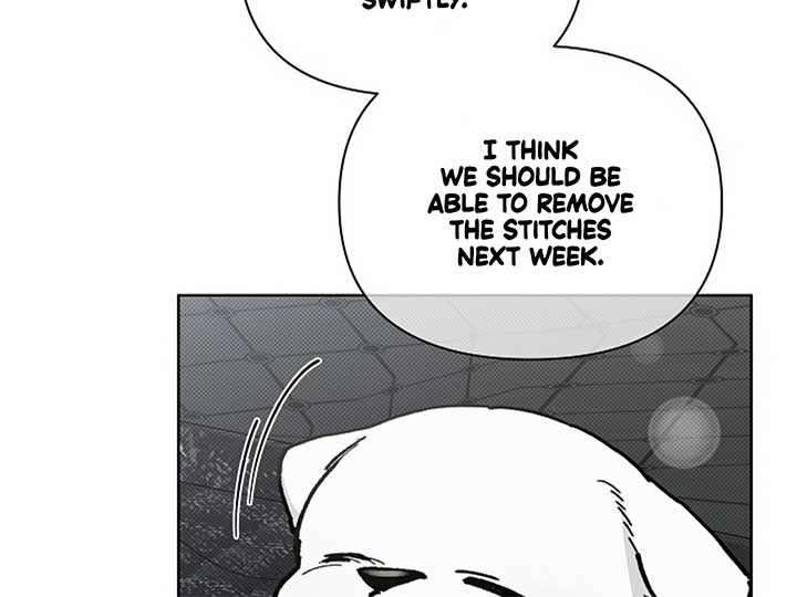 Don’t Mess With the Puppy! Chapter 7 - Page 43