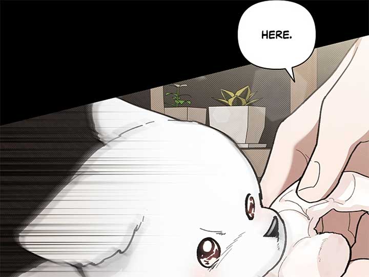 Don’t Mess With the Puppy! Chapter 7 - Page 77