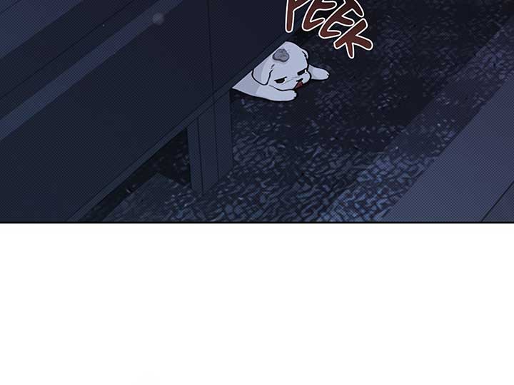Don’t Mess With the Puppy! Chapter 9 - Page 62