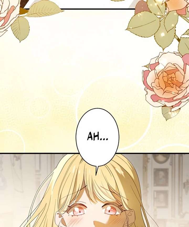 Don’t Obsess Over the Fake Princess! Chapter 1 - Page 17