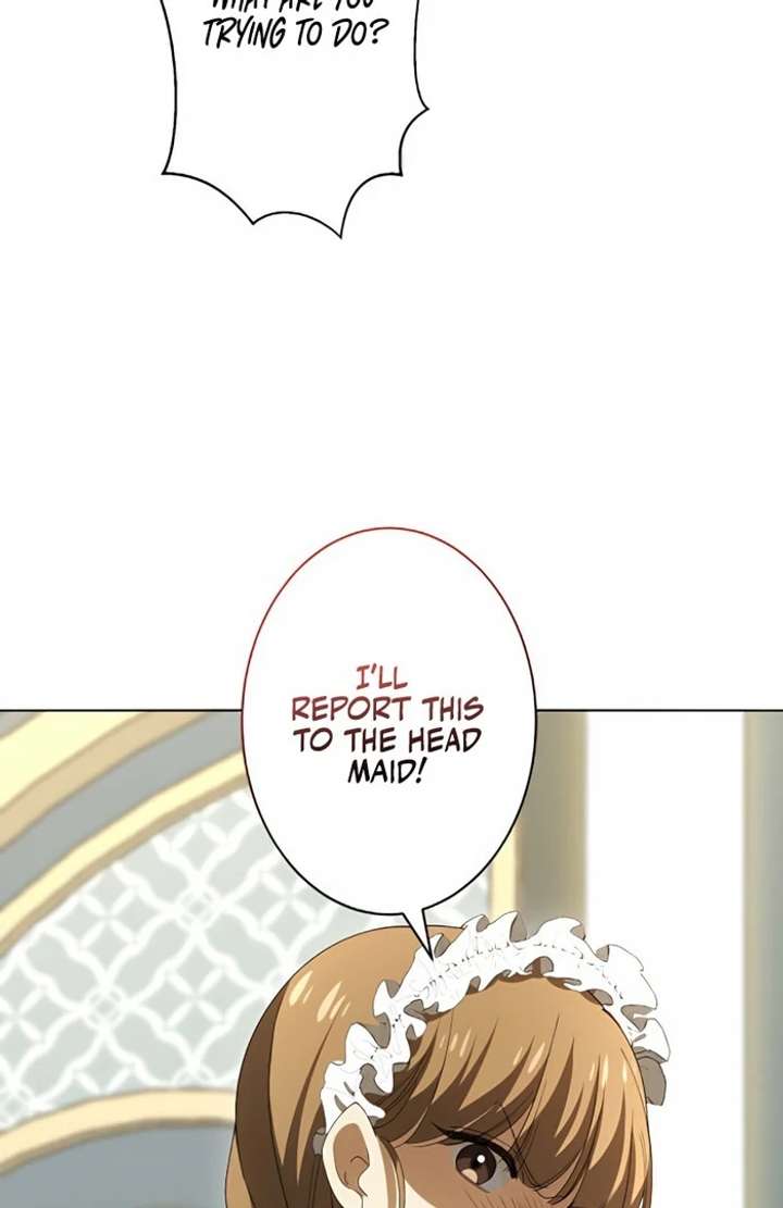 Don’t Obsess Over the Fake Princess! Chapter 2 - Page 13