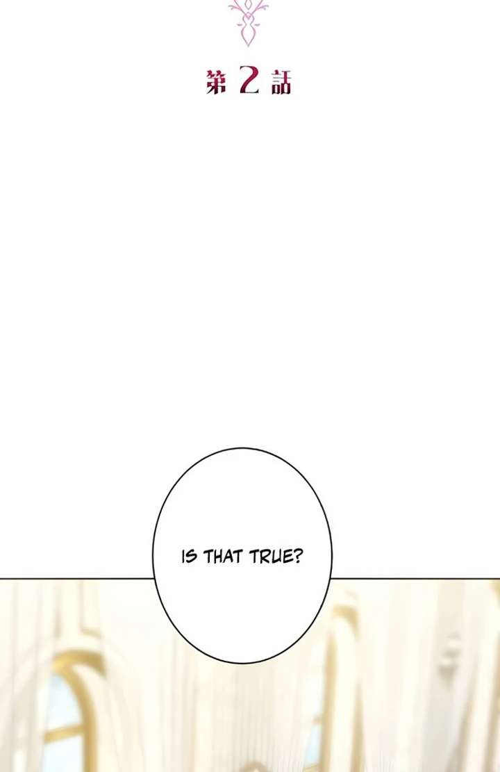 Don’t Obsess Over the Fake Princess! Chapter 2 - Page 29