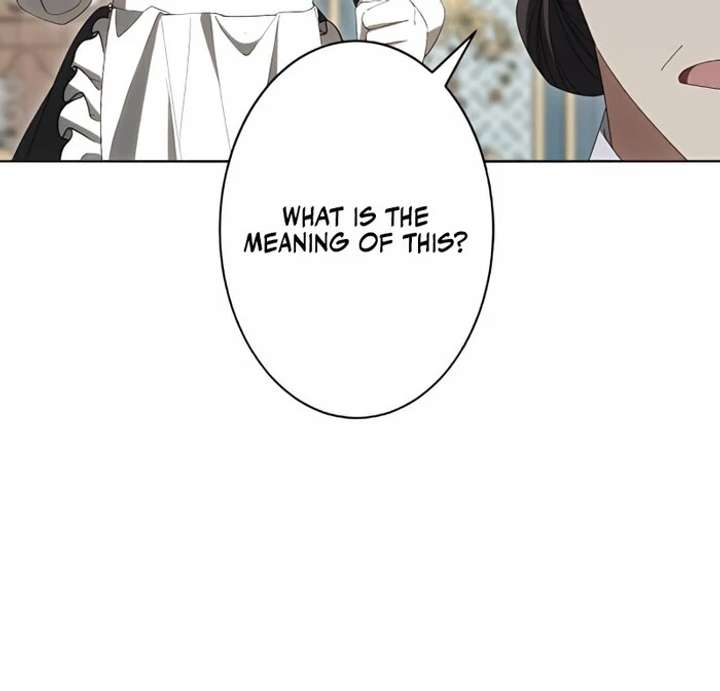 Don’t Obsess Over the Fake Princess! Chapter 2 - Page 46