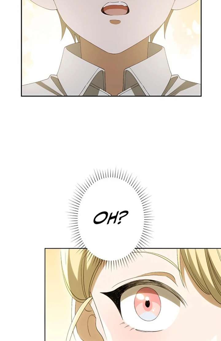 Don’t Obsess Over the Fake Princess! Chapter 3 - Page 74