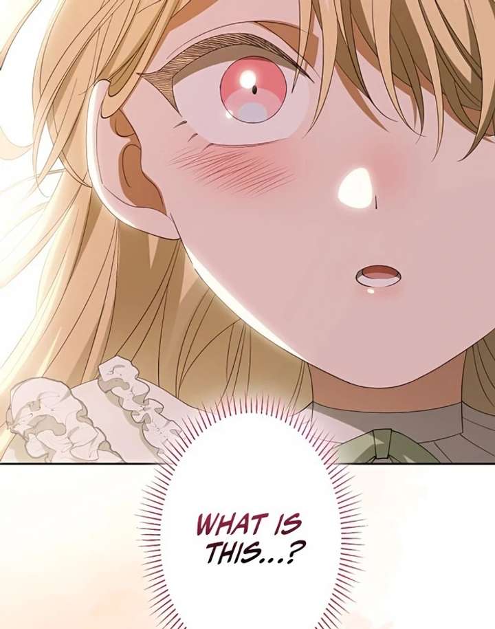 Don’t Obsess Over the Fake Princess! Chapter 5 - Page 51