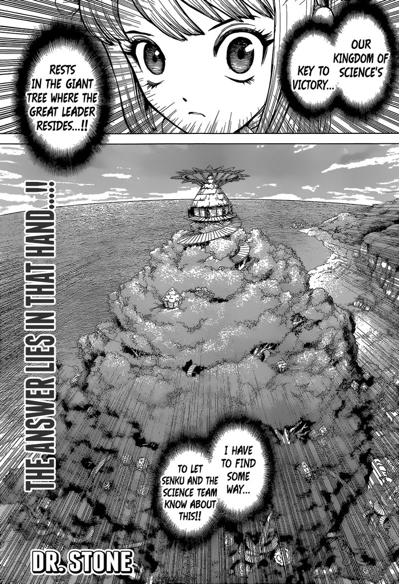 Dr. Stone Chapter 113 - Page 1