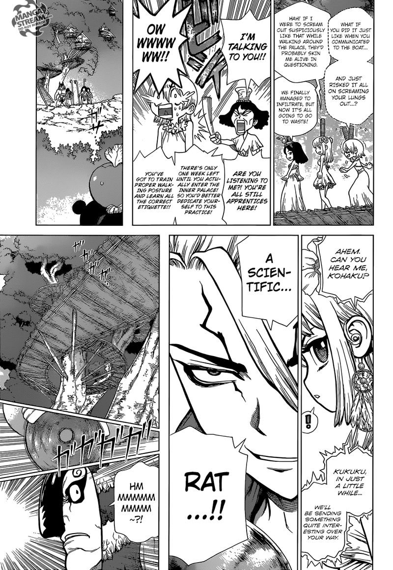Dr. Stone Chapter 113 - Page 3